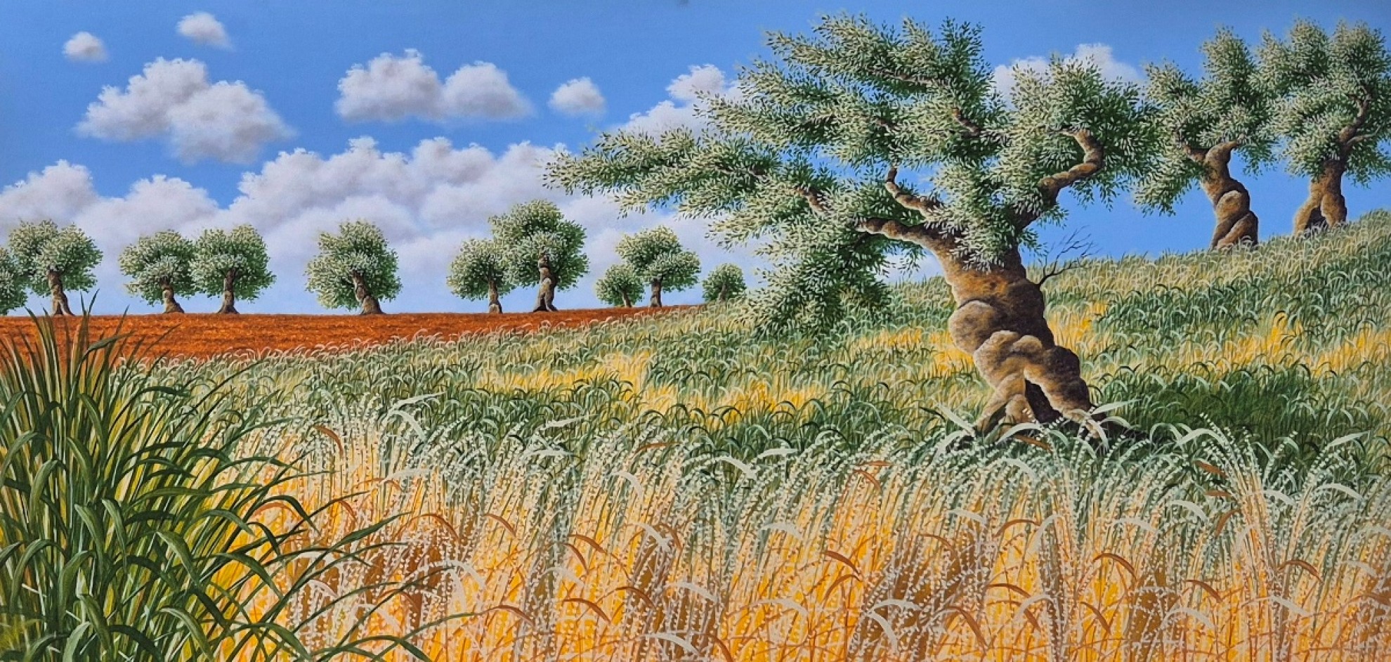 MARCO SAPORITI